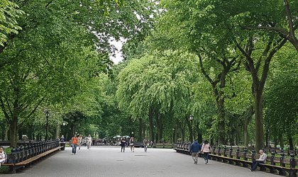 Descubriendo Central Park